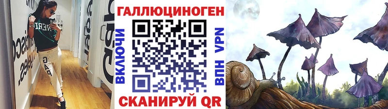 блэк спрут ссылка  Волгоград  Галлюциногенные грибы Psilocybe 
